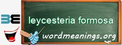 WordMeaning blackboard for leycesteria formosa